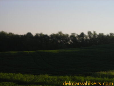 tn06116.JPG