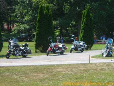 tn06173.JPG