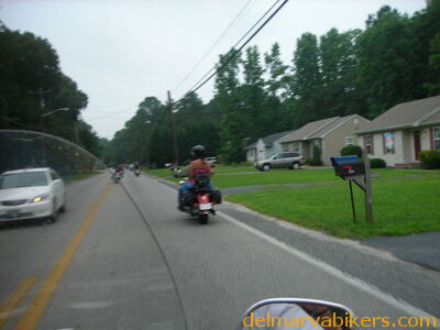 bc06036.JPG