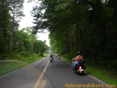 bc06038.JPG