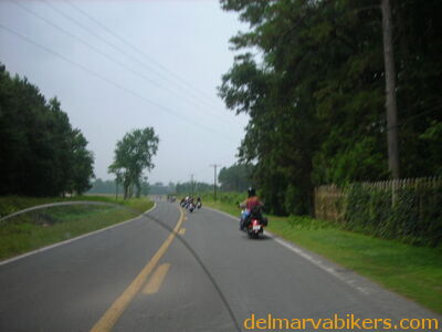 bc06041.JPG