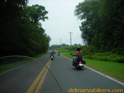 bc06044.JPG