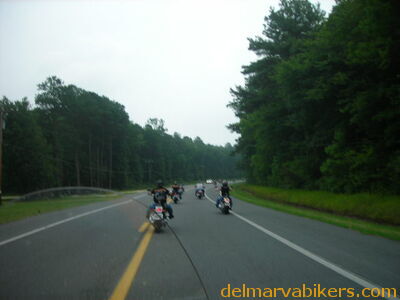 bc06063.JPG