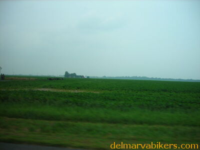 bc06130.JPG