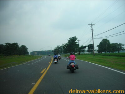 bc06131.JPG
