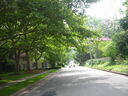 bc06027.JPG