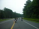 bc06063.JPG