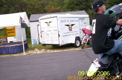 wv06317.jpg