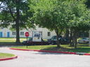 nv06002.JPG