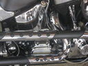 ac070110.jpg