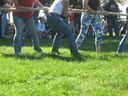 ac070250.jpg