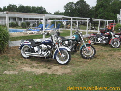 IMG_2997.JPG