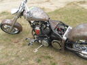 IMG_2985.JPG