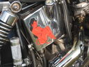 Filename=IMG_3171.JPG
Filesize=86KiB
Dimensions=640x480
Date added=Sep 19, 2026 IMG_3171.JPG