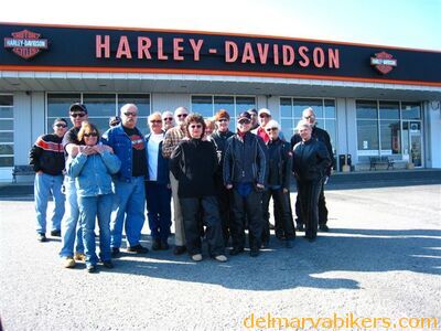 doyles08.jpg