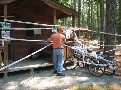 sawed0186.jpg