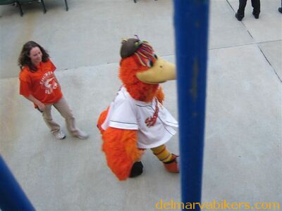 sbirds052.jpg