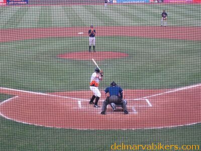sbirds053.jpg
