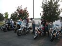 sbirds019.jpg