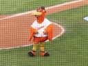 sbirds046.jpg