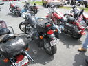 bdc0039.jpg