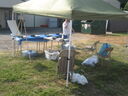 Filename=IMG_1361.JPG
Filesize=84KiB
Dimensions=640x480
Date added=Sep 18, 2026 IMG_1361.JPG