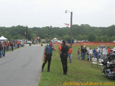 vf0071.jpg