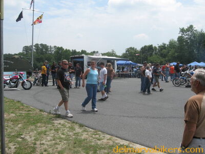 vf0123.jpg