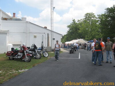 vf0129.jpg