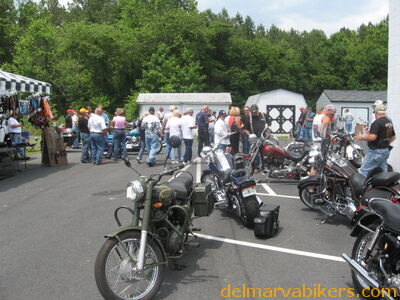 vf0141.jpg