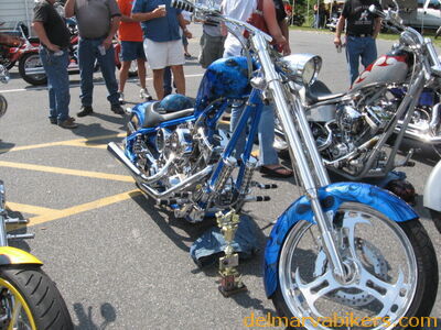 vf0256.jpg