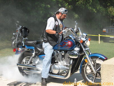 vf0295.jpg