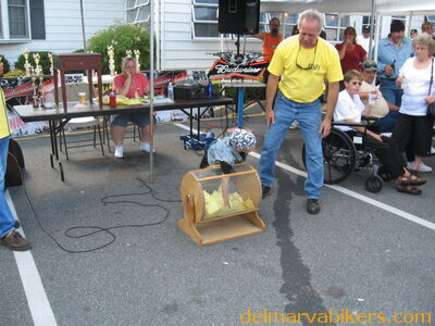 vf0336.jpg