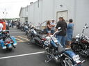 vf0146.jpg