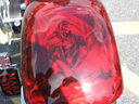 vf0260.jpg