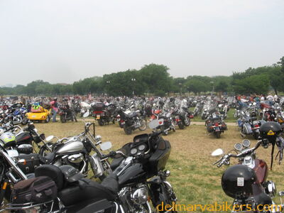 IMG_1175.JPG