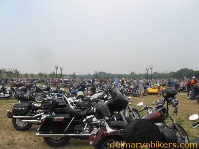 IMG_1181.JPG