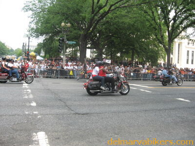 IMG_1205.JPG