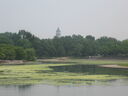 IMG_1226.JPG