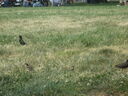 Filename=IMG_1287.JPG
Filesize=89KiB
Dimensions=640x480
Date added=Sep 18, 2026 IMG_1287.JPG