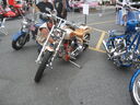 wswfed070069.jpg