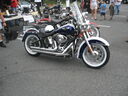 wswfed070075.jpg