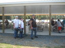 wswfed070173.jpg