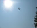 wswfed070194.jpg