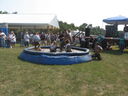 wswfed070236.jpg