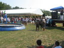 wswfed070240.jpg