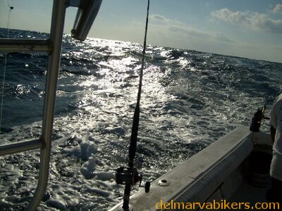 ECBC2007_123.jpg