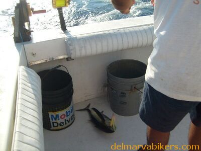 ECBC2007_126.jpg