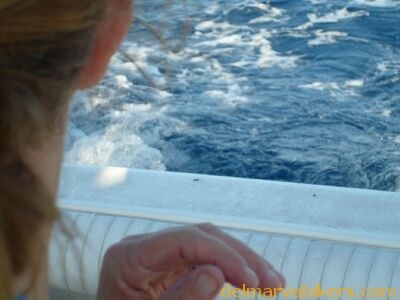 ECBC2007_140.jpg