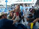 ECBC2007_077.jpg